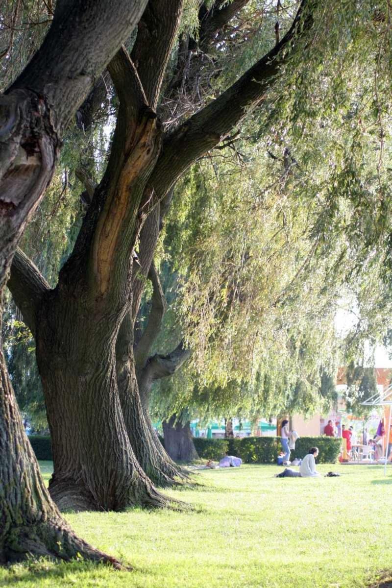 Apartman Bella Hotel Siófok Zewnętrze zdjęcie